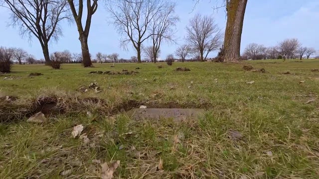 Unlikely forensic tool helped crack Burr Oak Cemetery grave desecration case