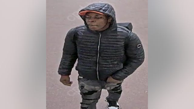 Police seek man who groped woman on CTA Red Line train