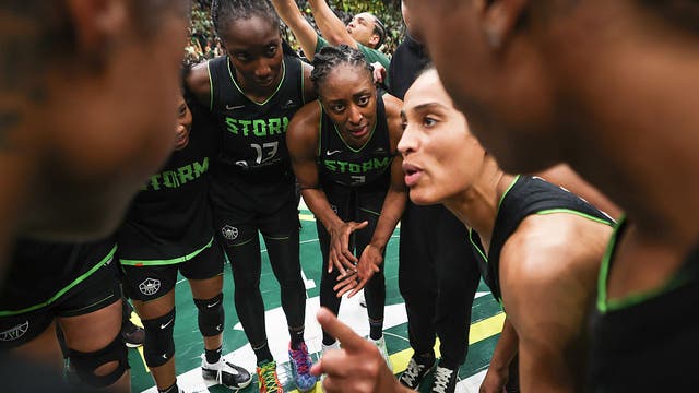 Column: Why the Chicago Sky, from the top down, need Skylar Diggins