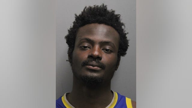 Suspect arrested after several Chicago Fire Dept. cars were damaged, police say