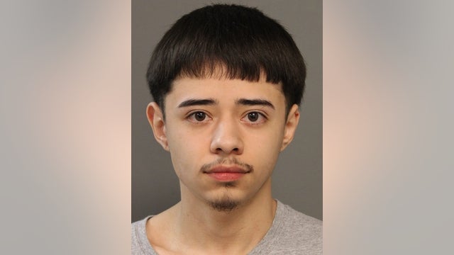 Alleged Chicago gang members charged after feds seize guns, 'switch' devices from home