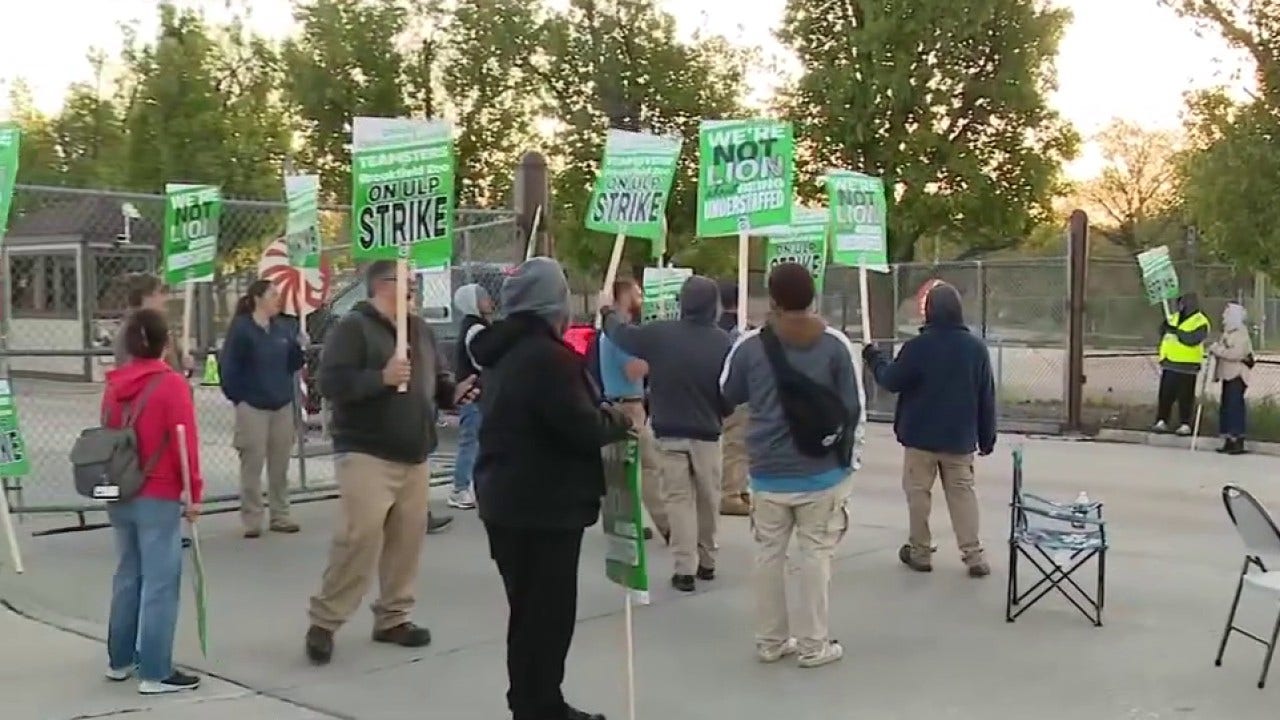 Some Brookfield Zoo Chicago workers strike as contract talks stall