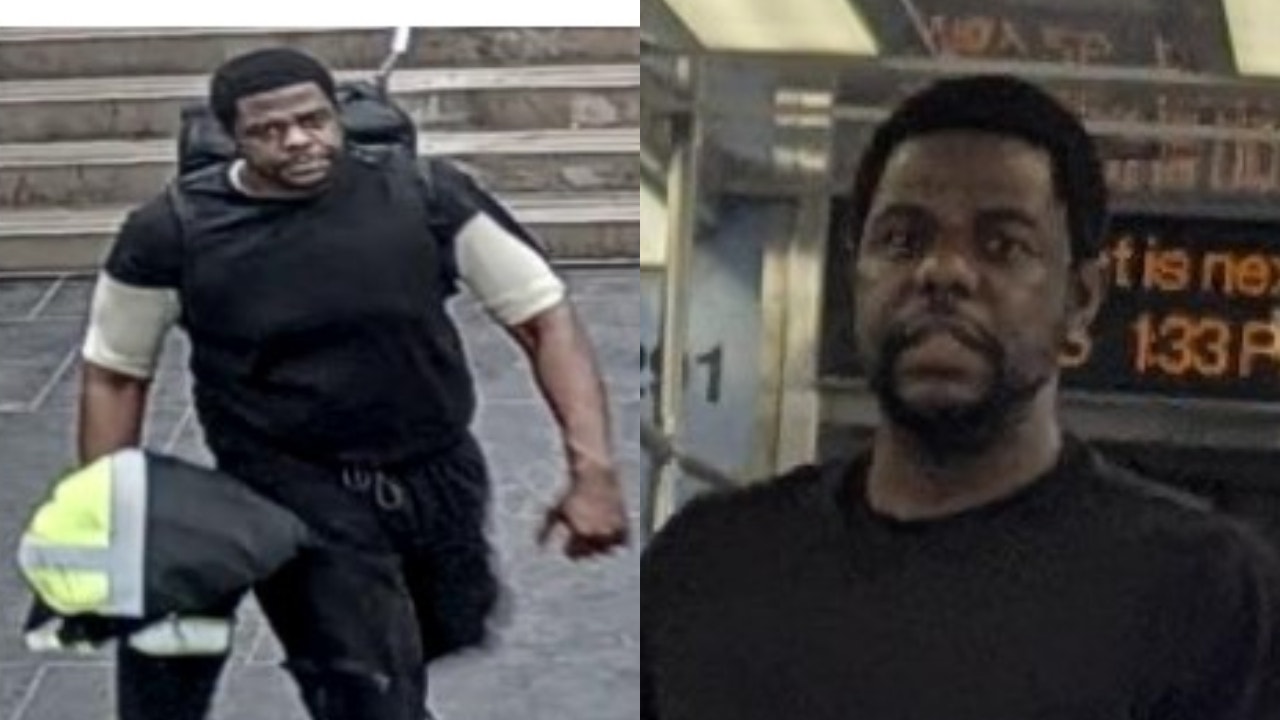 Chicago police seek man accused of punching 2 CTA riders on North Side train
