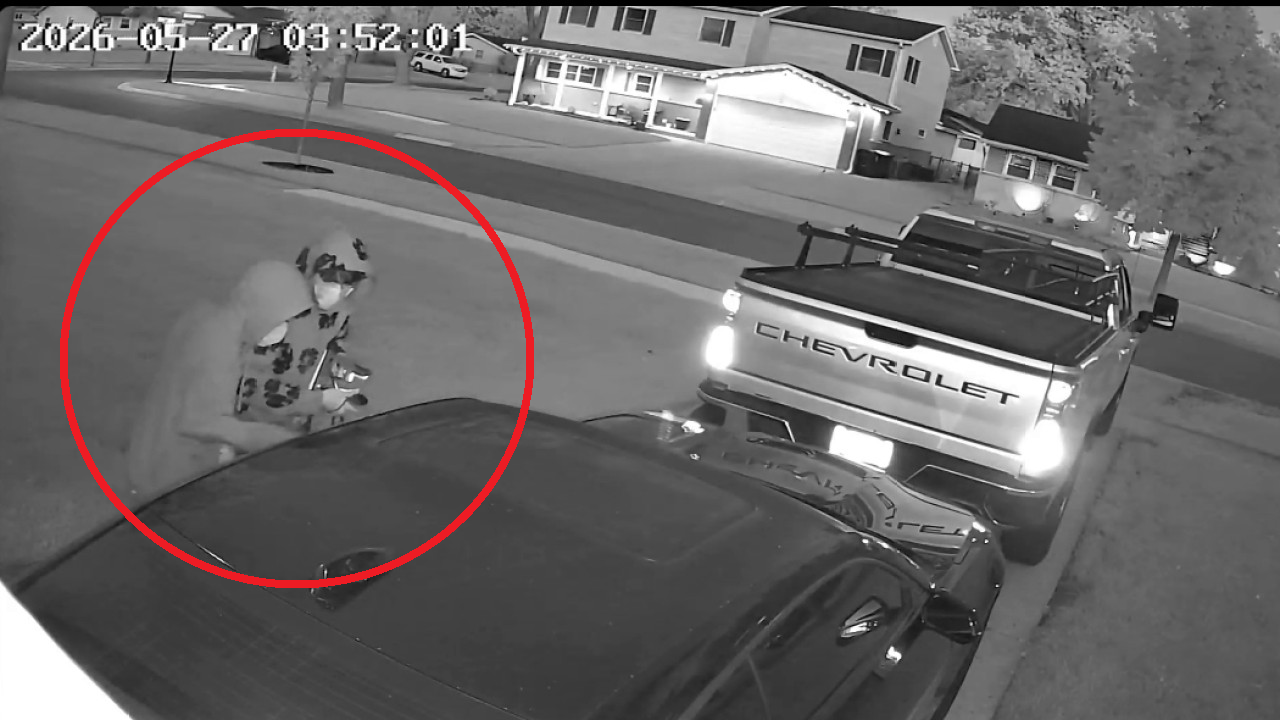 Video shows Elk Grove Village homeowner scaring off Camaro burglars