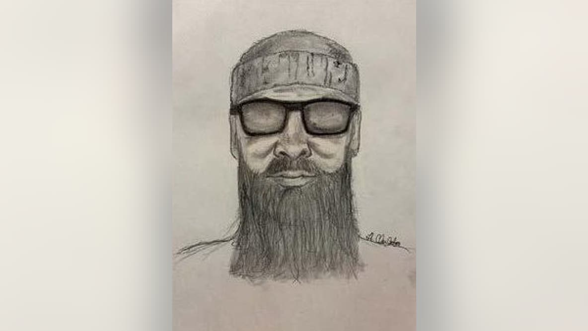 Sketch released of suspect wanted for sexually assaulting woman in LaBagh Woods