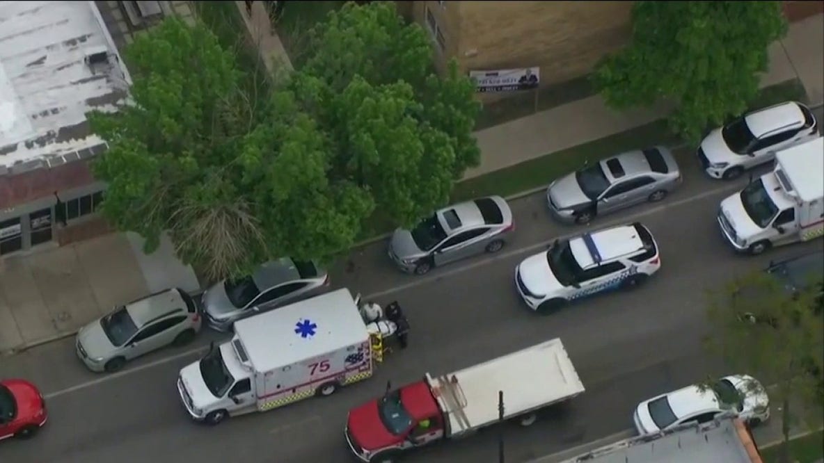 Woman fatally stabbed baby girl in Gage Park, police say
