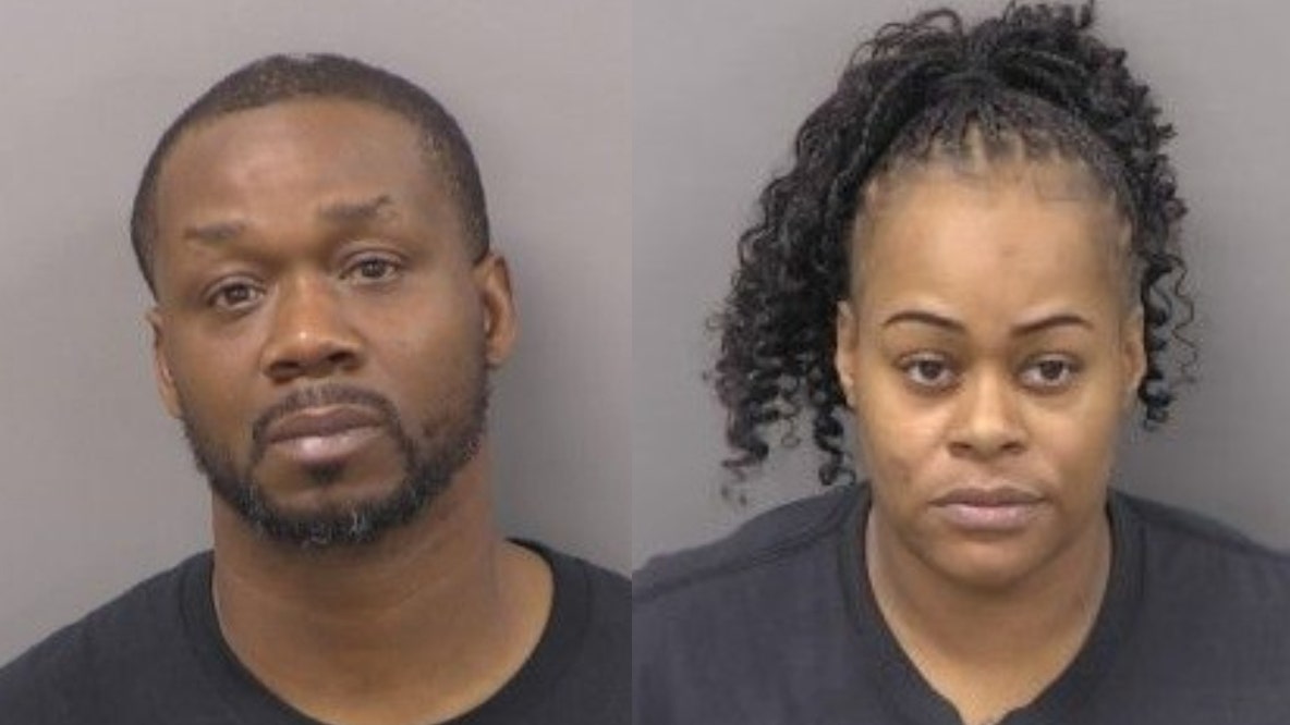Dog fighting ring investigation in Chicago suburb leads to 2 arrests: 'Most disturbing'