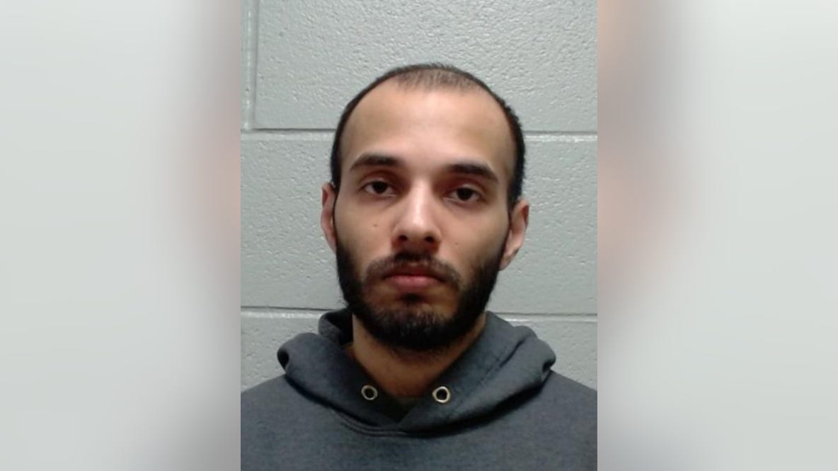 Suburban Chicago man pulled gun on officers during traffic stop, police say