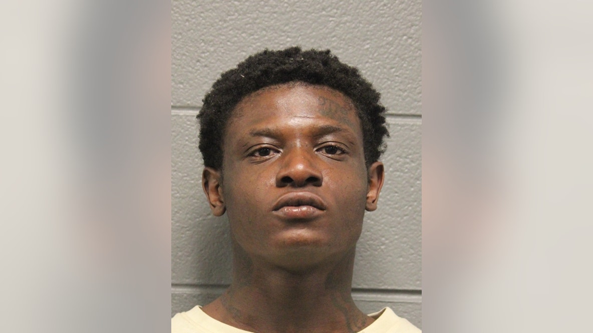 Chicago man charged in two armed robberies, business theft