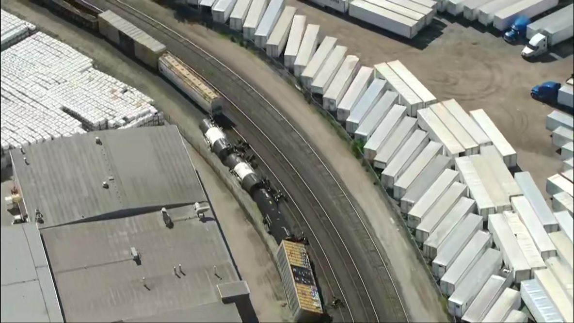 Freight train derails in Cook County