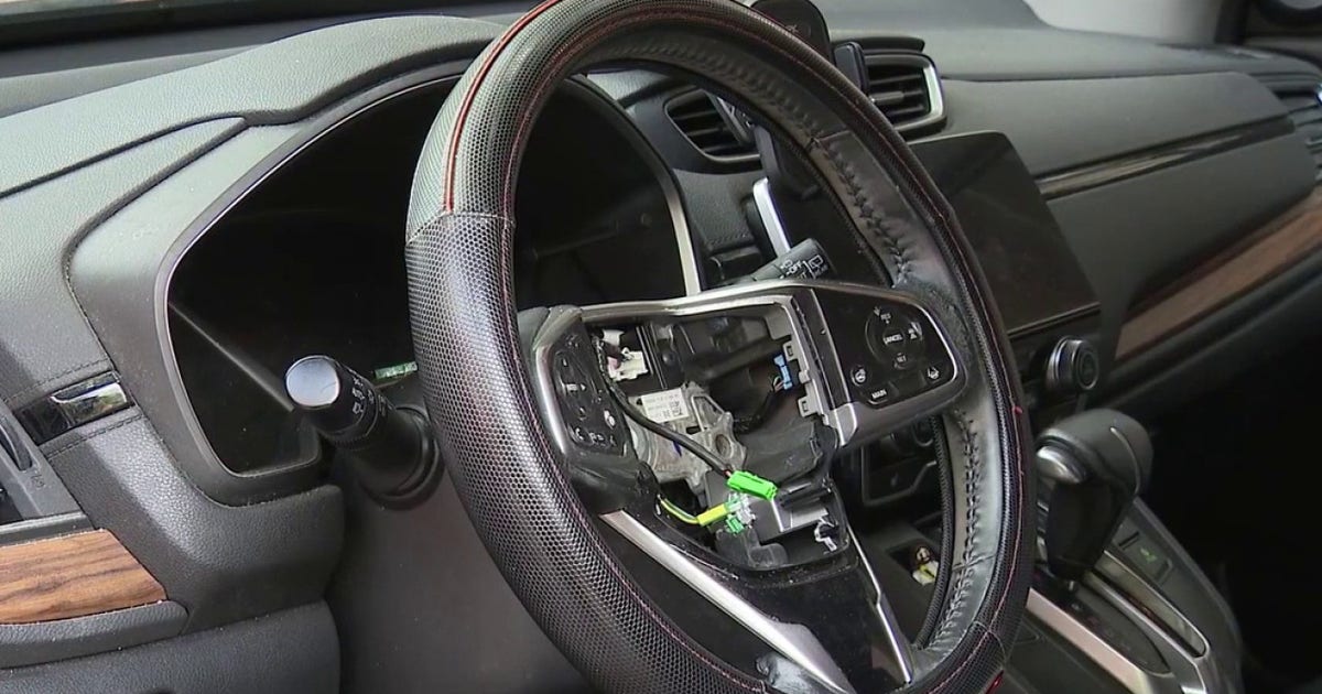 More than a dozen Hondas broken into in Little Italy: police