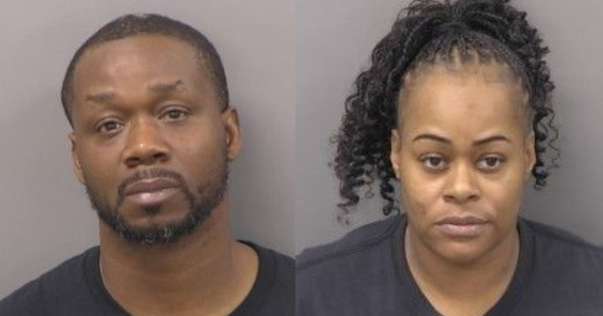 Dog fighting ring investigation in Chicago suburb leads to 2 arrests: 'Most disturbing'