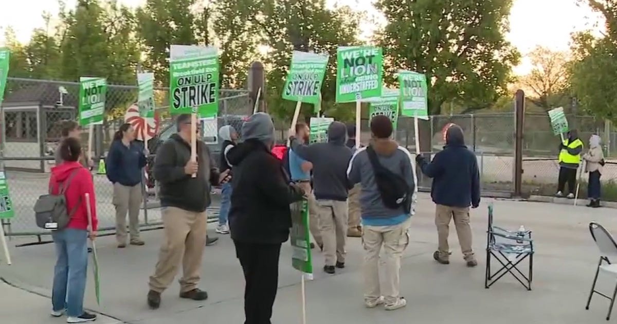 Brookfield Zoo strike: The dispute, the animals, and the unanswered questions