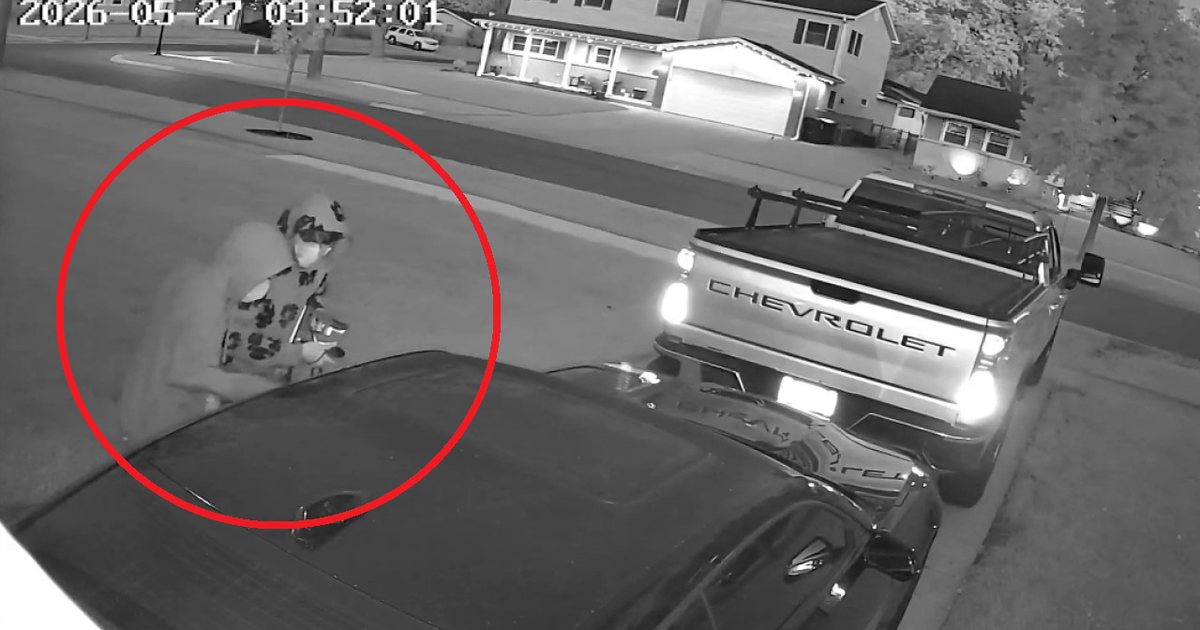 Video shows Elk Grove Village homeowner scaring off Camaro burglars