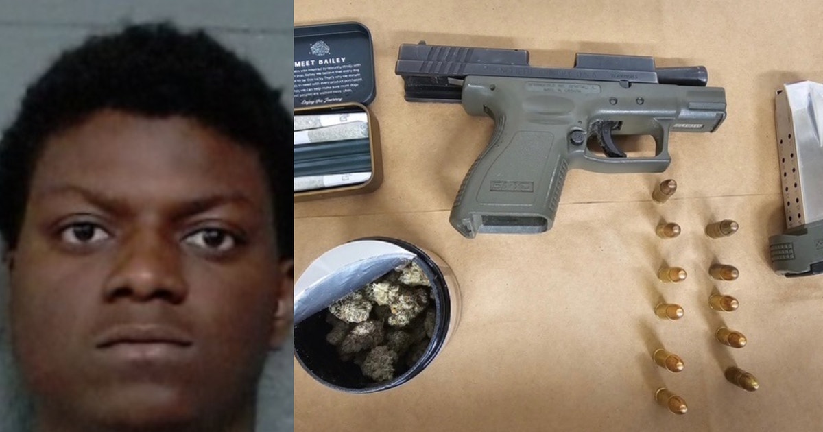 Chicago man charged after deputies recover stolen gun on Red Line