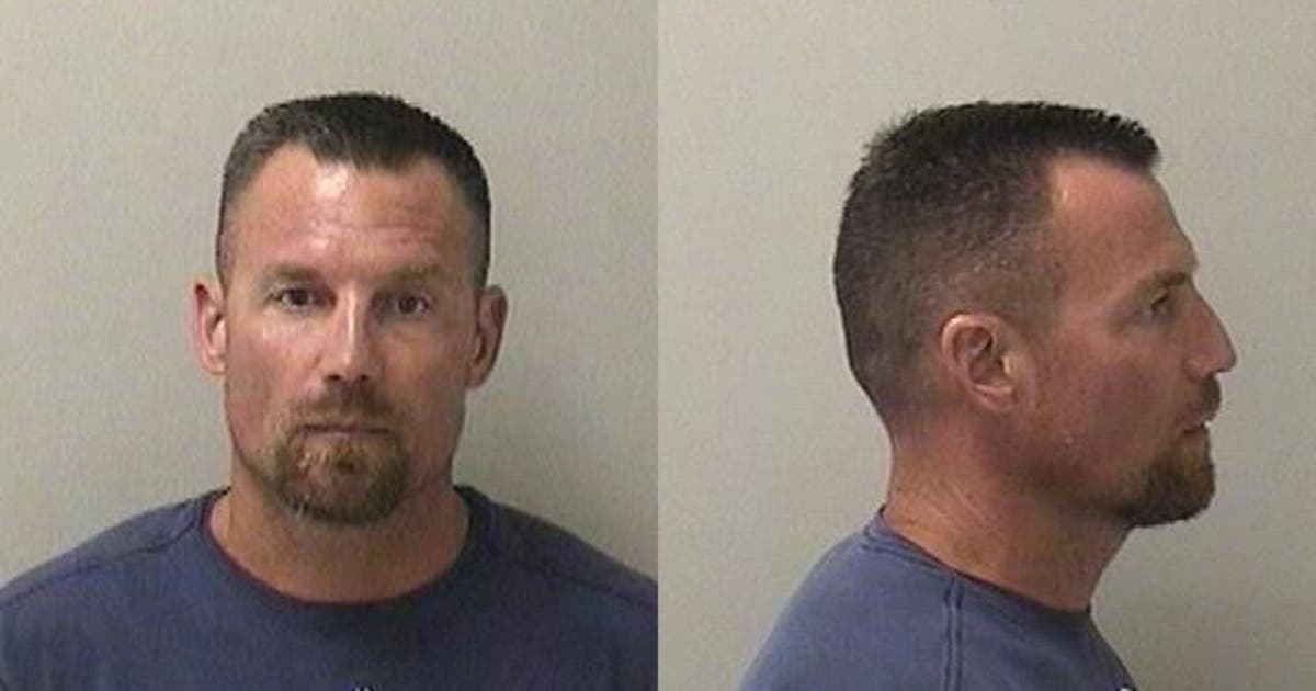Driver pleads guilty to fleeing fatal hit-and-run crash in Chicago suburb: prosecutors