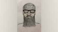 Sketch released of suspect wanted for sexually assaulting woman in LaBagh Woods