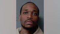 Chicago man charged in $31K iPhone theft at Des Plaines facility: officials