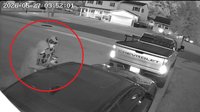 Video shows Elk Grove Village homeowner scaring off Camaro burglars