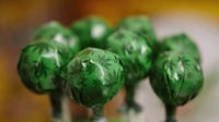 Hammond mother says daughter missed graduation after unknowingly taking edible