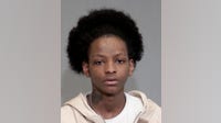 Joliet teen charged with murder of teen in fatal apartment stabbing: police