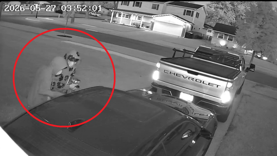 Video shows Elk Grove Village homeowner scaring off Camaro burglars