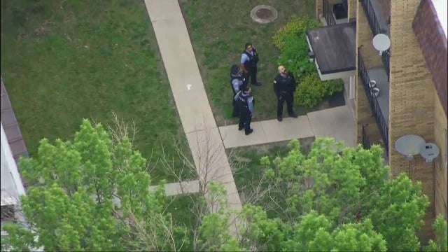 Baby girl stabbed to death in Chicago home, 'known offender' jumps from window: police