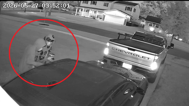 Video shows Elk Grove Village homeowner scaring off Camaro burglars