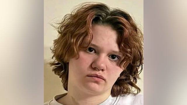 Missing girl, 14, last seen on Chicago's North Side