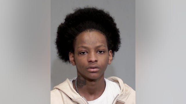 Joliet teen charged with murder of teen in fatal apartment stabbing: police