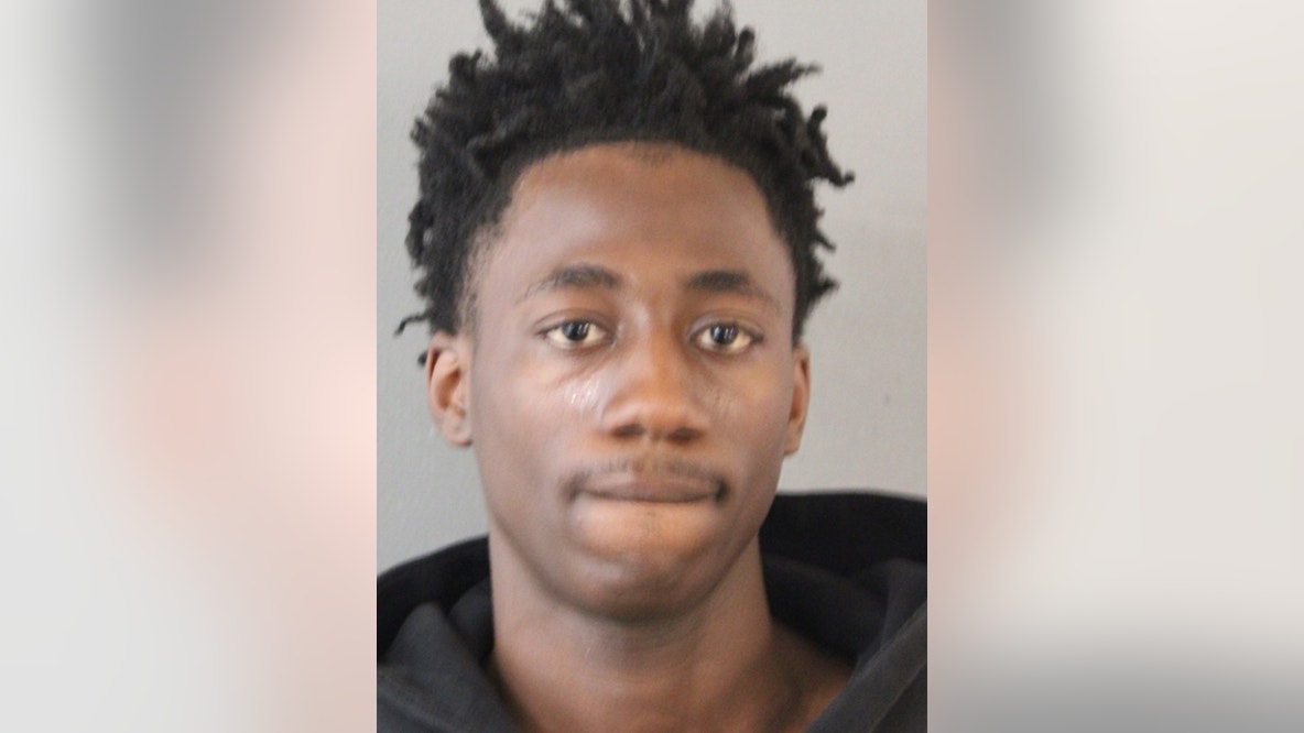 Chicago man, teen charged after 63-year-old carjacked at gunpoint, police say