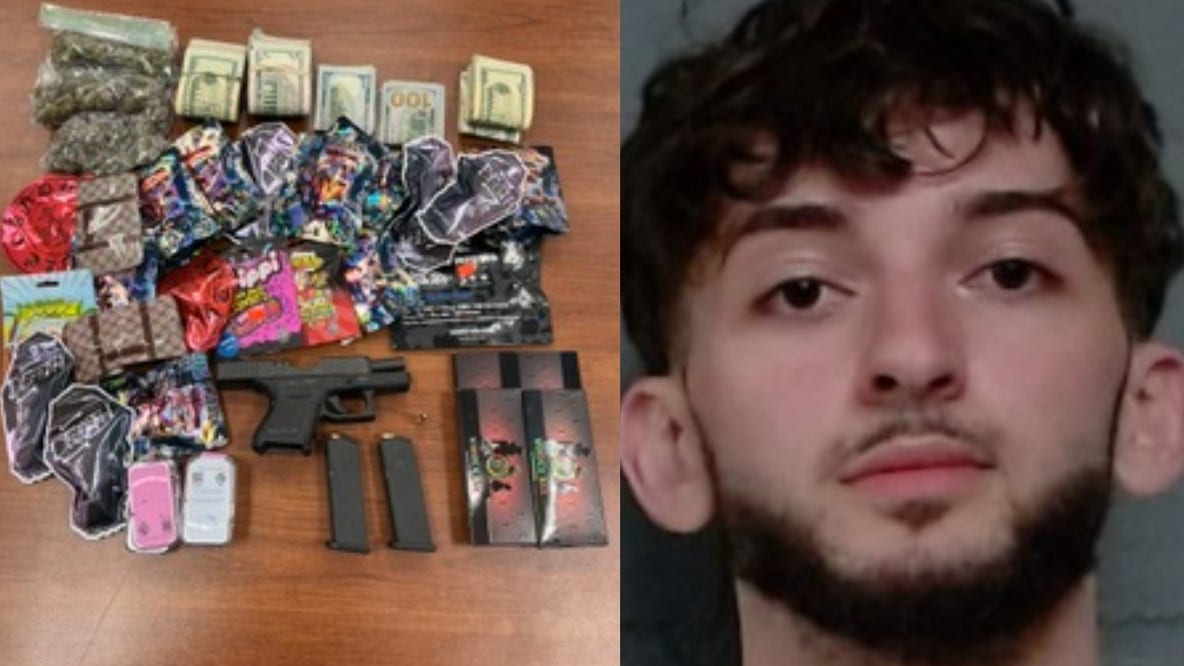 Cook County man had loaded gun, mushrooms, pot cigar, $10k in car, sheriff says