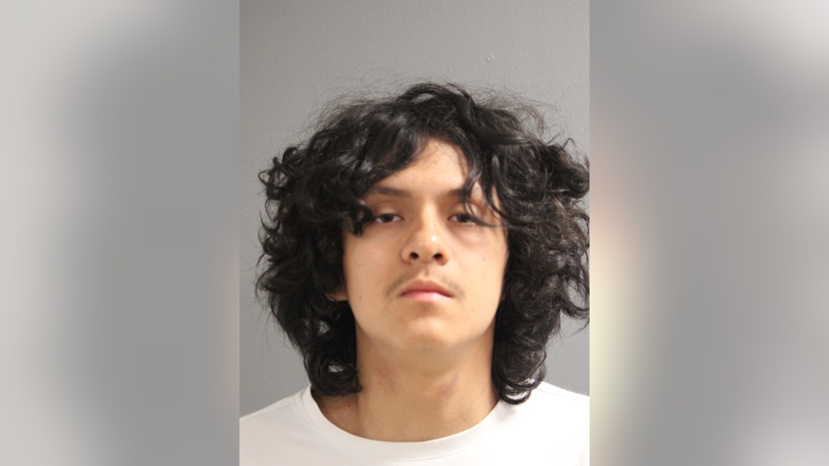 Oak Park man charged in fatal Grant Park shooting that killed bicyclist, police say