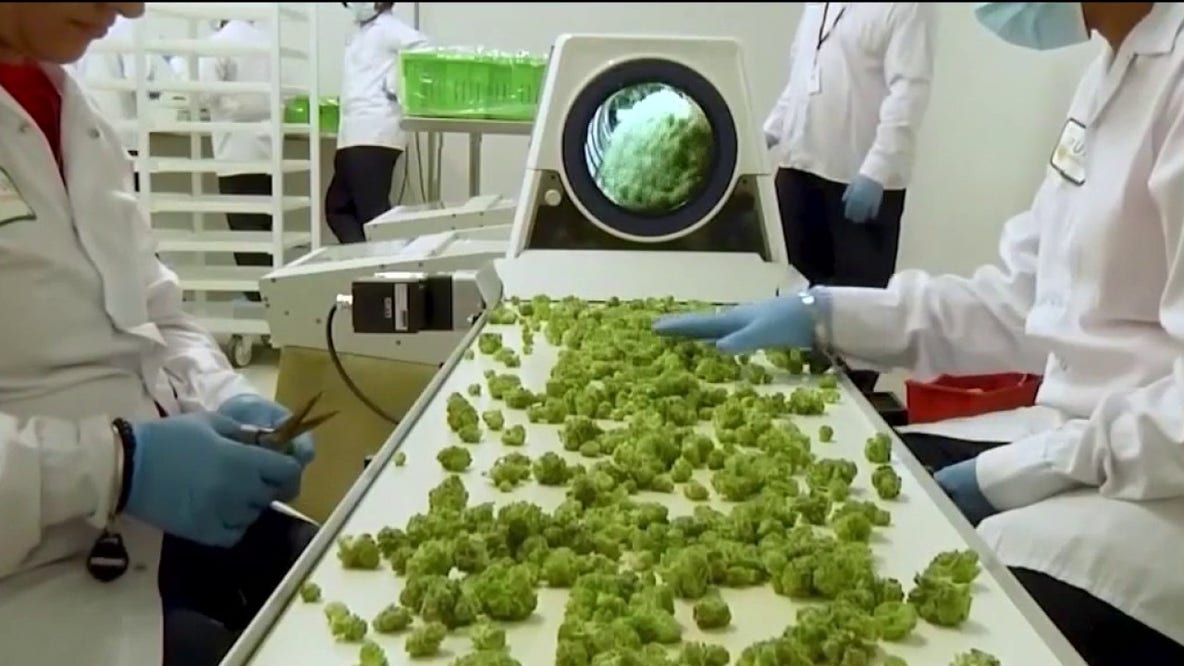 Lawsuit compares cannabis industry to Big Tobacco, targets 3 Chicago-based marijuana companies