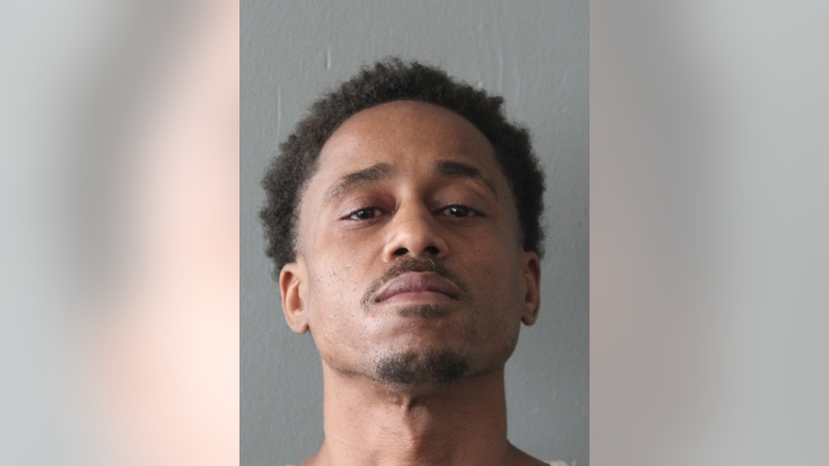 Chicago man charged with murder in fatal Chatham shooting: police