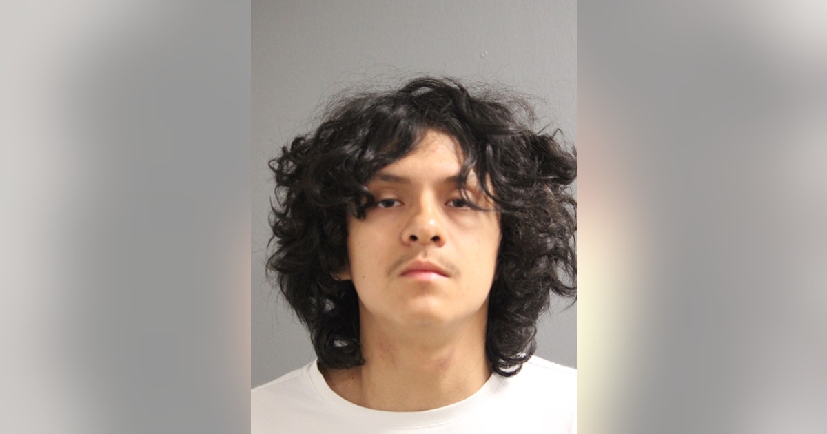 Oak Park man charged in fatal Grant Park shooting that killed bicyclist, police say
