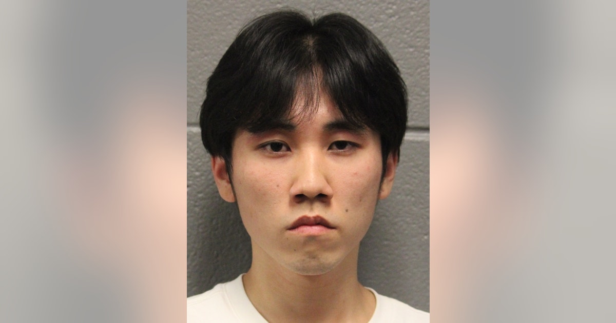 Man accused of burning cross in Chicago's Grant Park released from custody