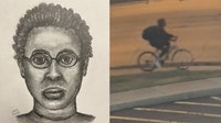 Arlington Heights police release sketch of suspect who attacked woman
