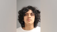 Oak Park man charged in fatal Grant Park shooting that killed bicyclist, police say