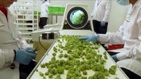Lawsuit compares cannabis industry to Big Tobacco, targets 3 Chicago-based marijuana companies