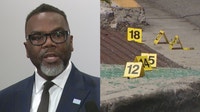 Johnson signs order to create Chicago gun violence reduction office