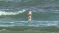 Child missing after disappearing in Lake Michigan at NW Indiana beach
