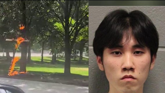 Man accused of burning cross in Chicago's Grant Park released from custody