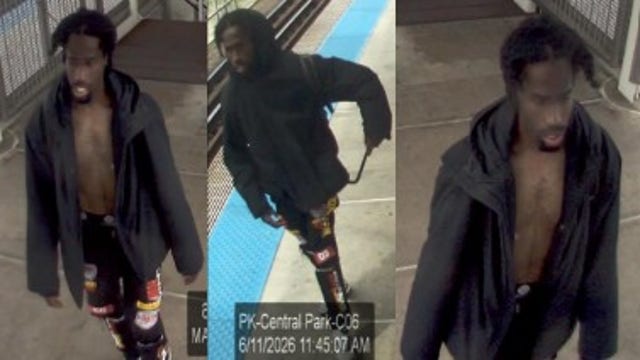 Man accused of punching woman on CTA Pink Line platform sought by police