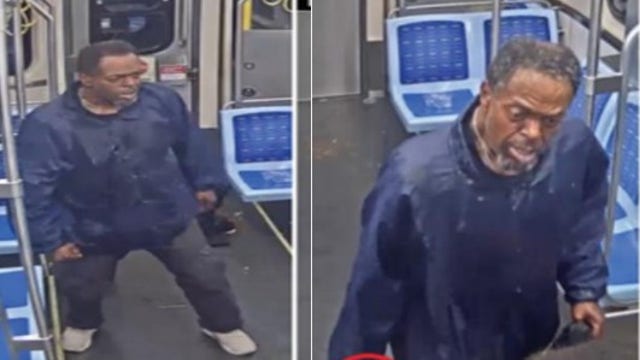 Police seek suspect accused of attacking woman on CTA Blue Line
