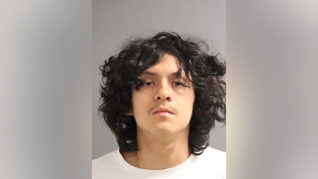 Oak Park man charged in fatal Grant Park shooting that killed bicyclist, police say