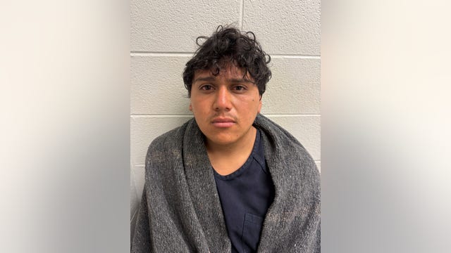 Girl rescued in Chicago suburbs after Georgia man drove to meet her, police say