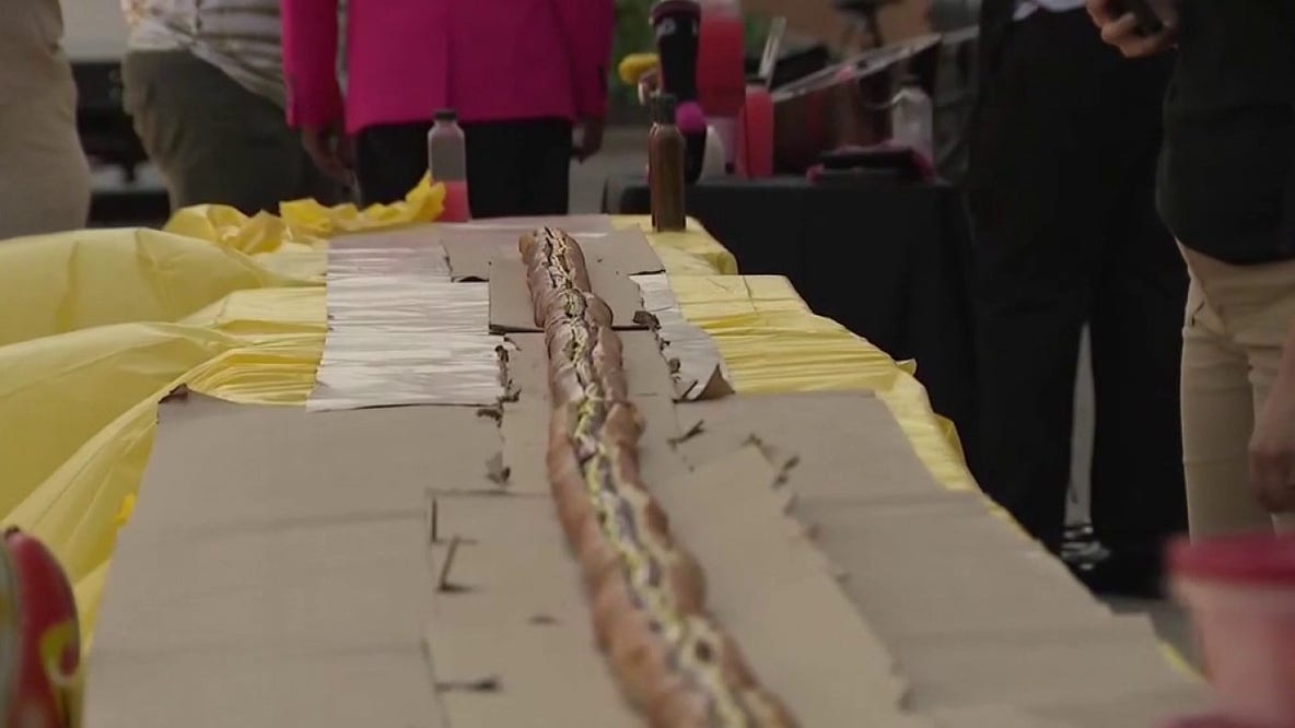 Chicago's biggest hot dog makes its debut on National Hot Dog  Day