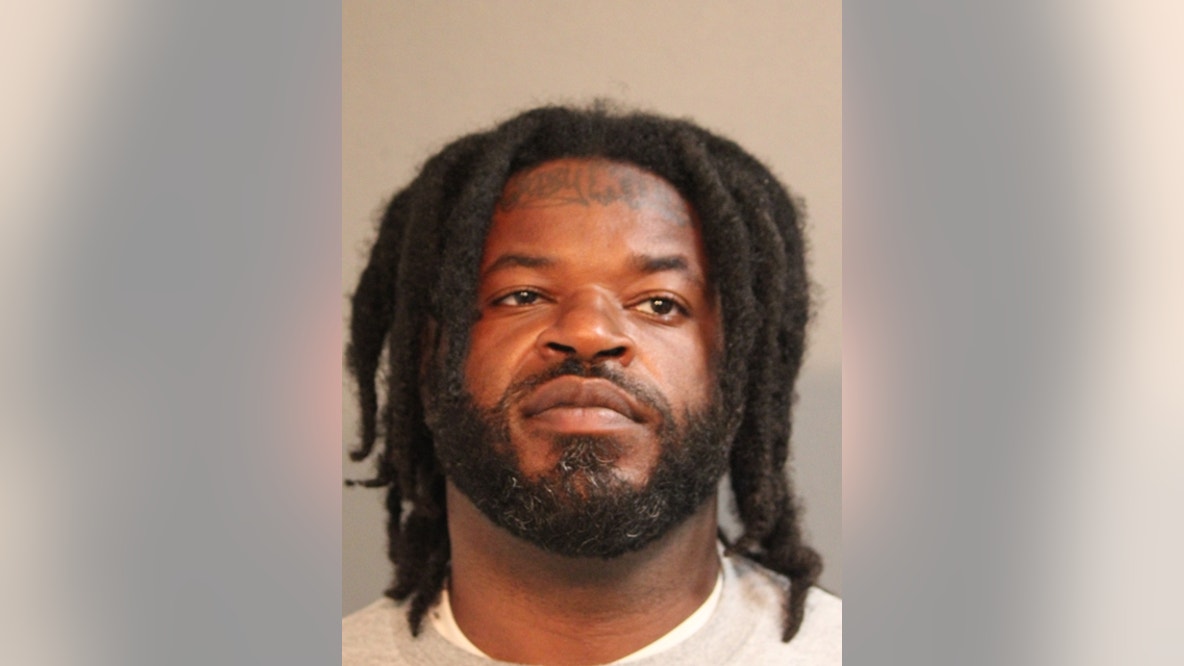 California man charged with beating up 64-year-old woman in Chicago robbery