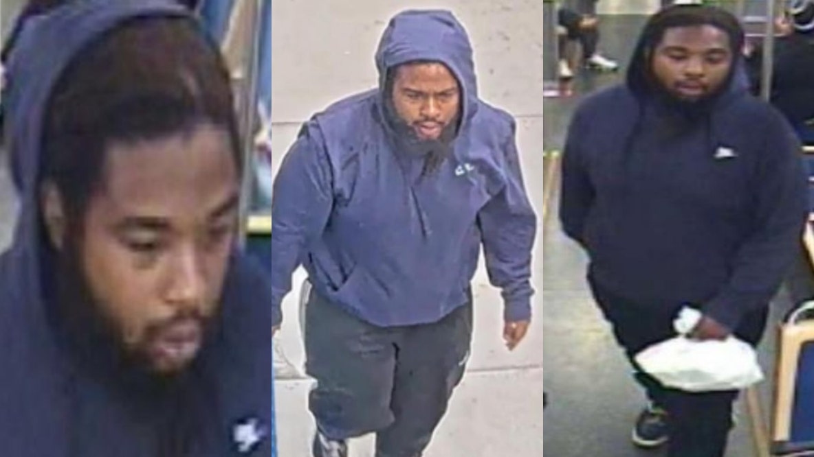 CTA Green Line attack leaves passenger injured; police searching for suspect